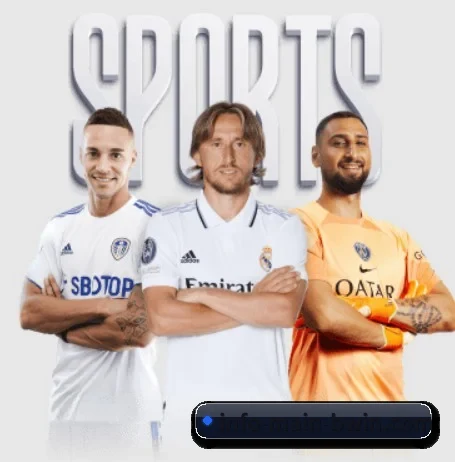 我们在做什么（bwin sports）
