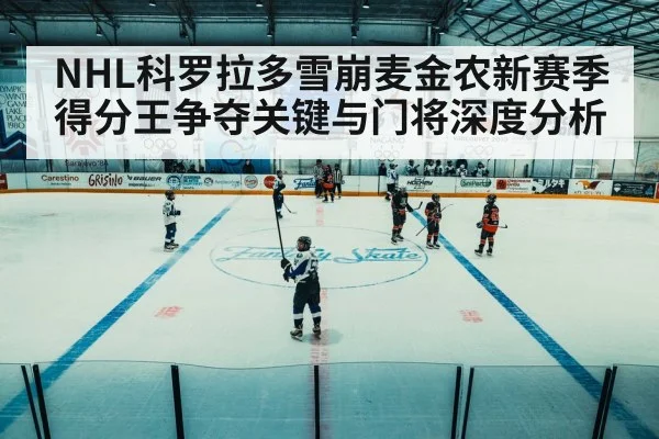 ice hockey arena game