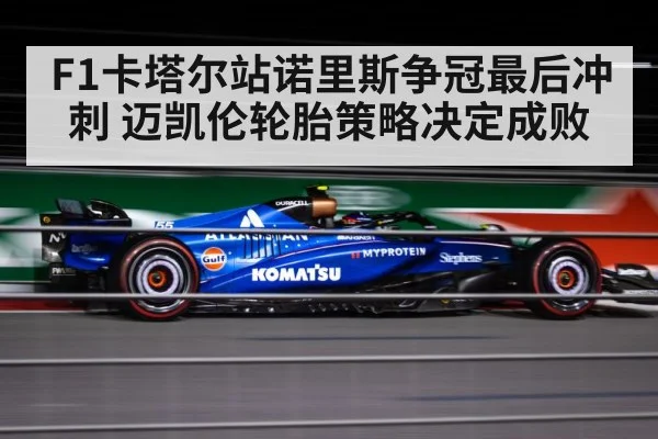 F1卡塔尔站诺里斯争冠最后冲刺 迈凯伦轮胎策略决定成败（bwin sports）