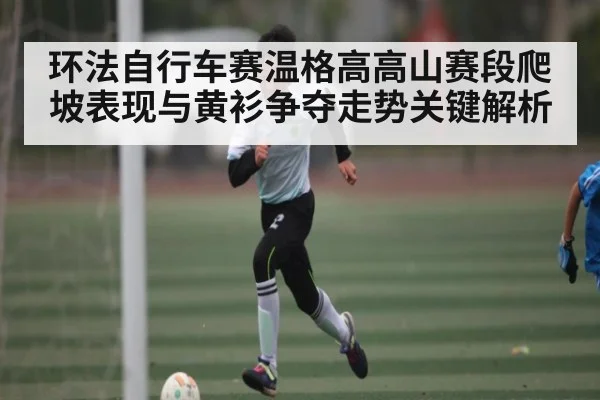 环法自行车赛温格高高山赛段爬坡表现与黄衫争夺走势关键解析（bwin sports）