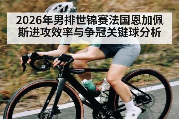 2026年男排世锦赛法国恩加佩斯进攻效率与争冠关键球分析（bwin sports）